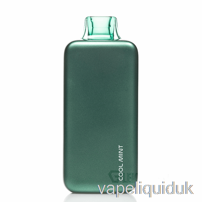 PLENA 18K Disposable Cool Mint Vape Liquid